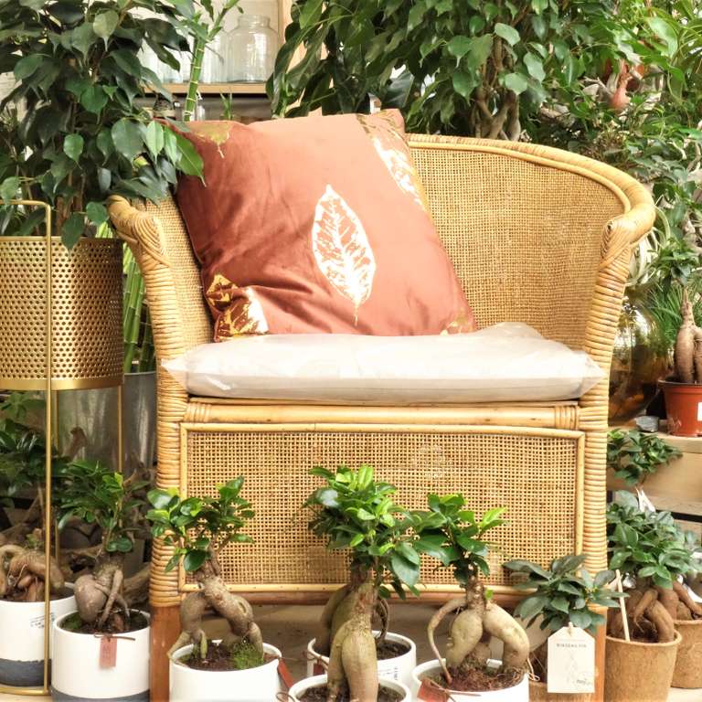 Le concept de la franchise VILLAVERDE - SEVEA SAS