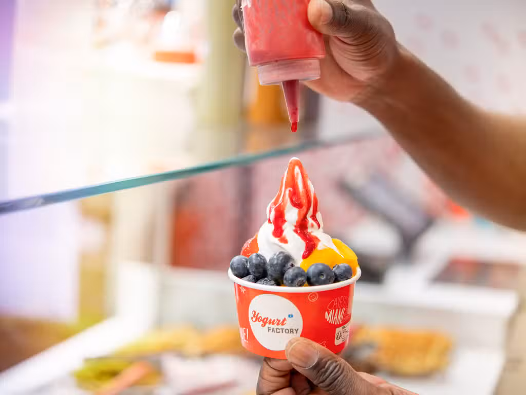 Ouvrir une enseigne YOGURT FACTORY