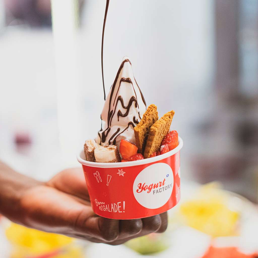 YOGURT FACTORY