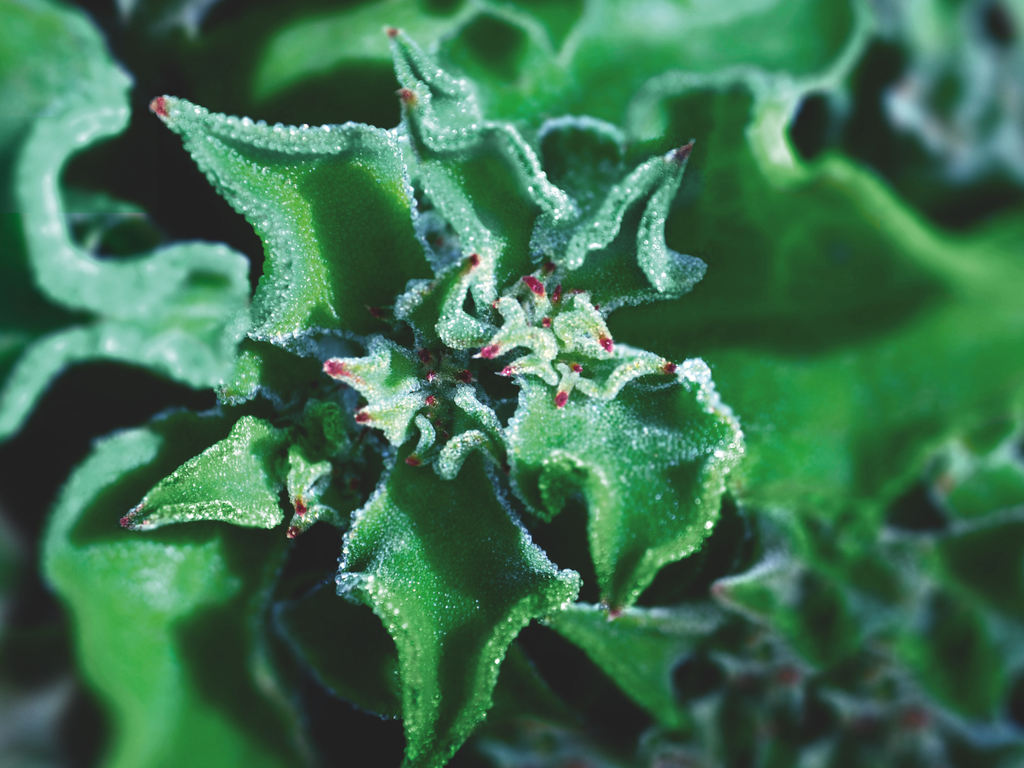 Ouvrir une enseigne YVES ROCHER
